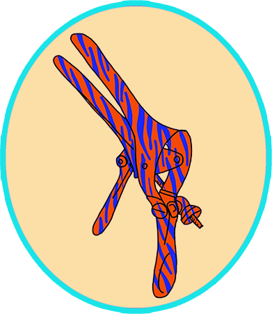 Tampon illustration